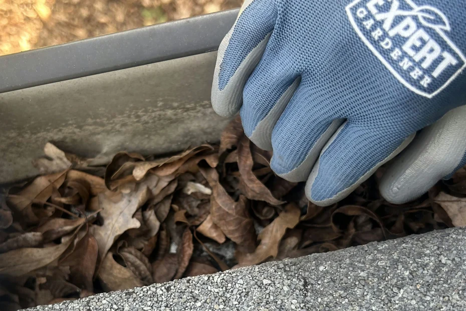 Gutter Cleaning Oak Hill