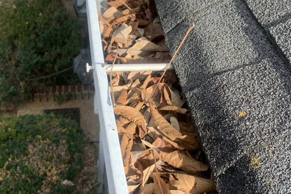 Gutter Cleaning Oak Hill